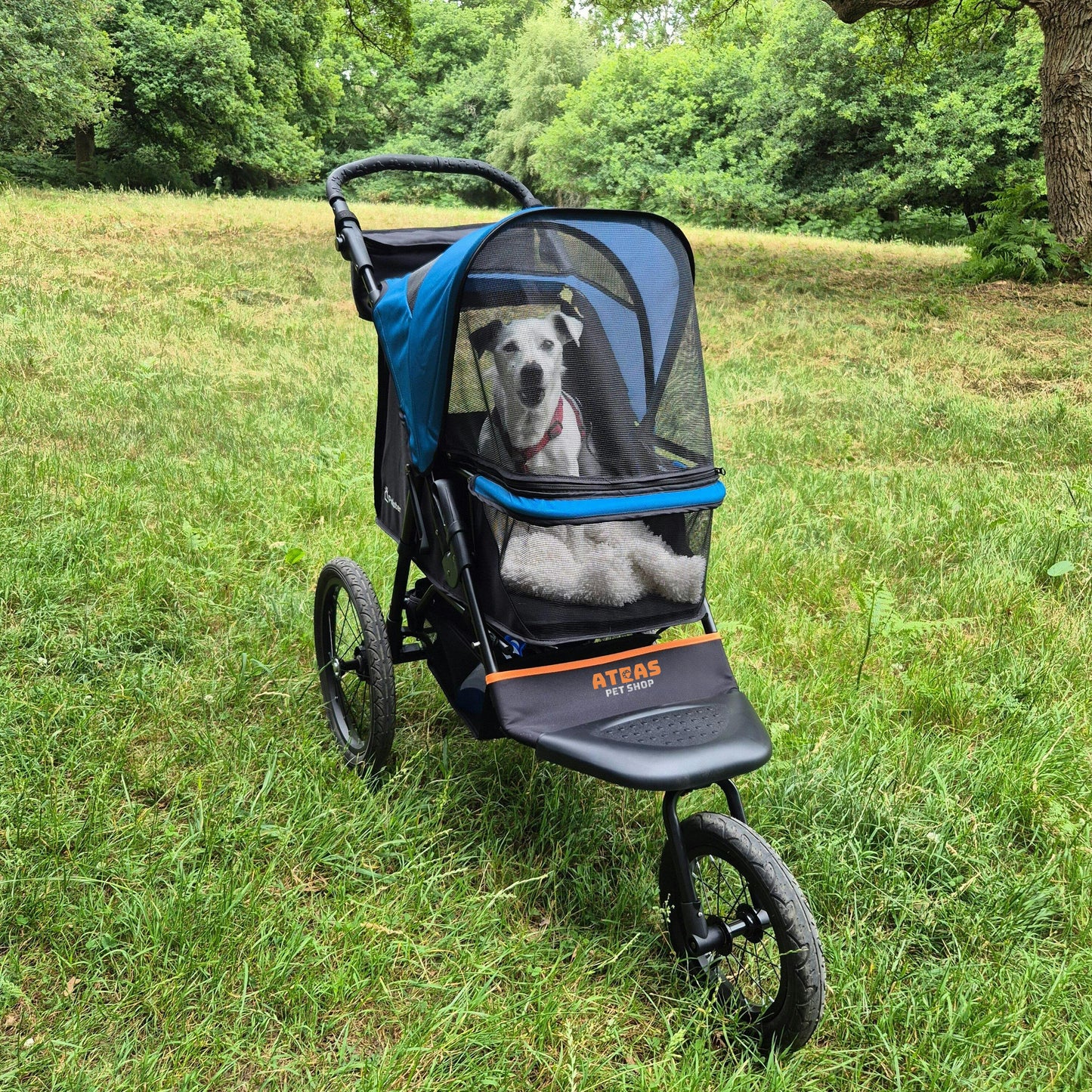 Palster Explorer Dog Stroller – All-Terrain Pet Buggy with Suspension, Foldable Design (Black & Harbour Blue)